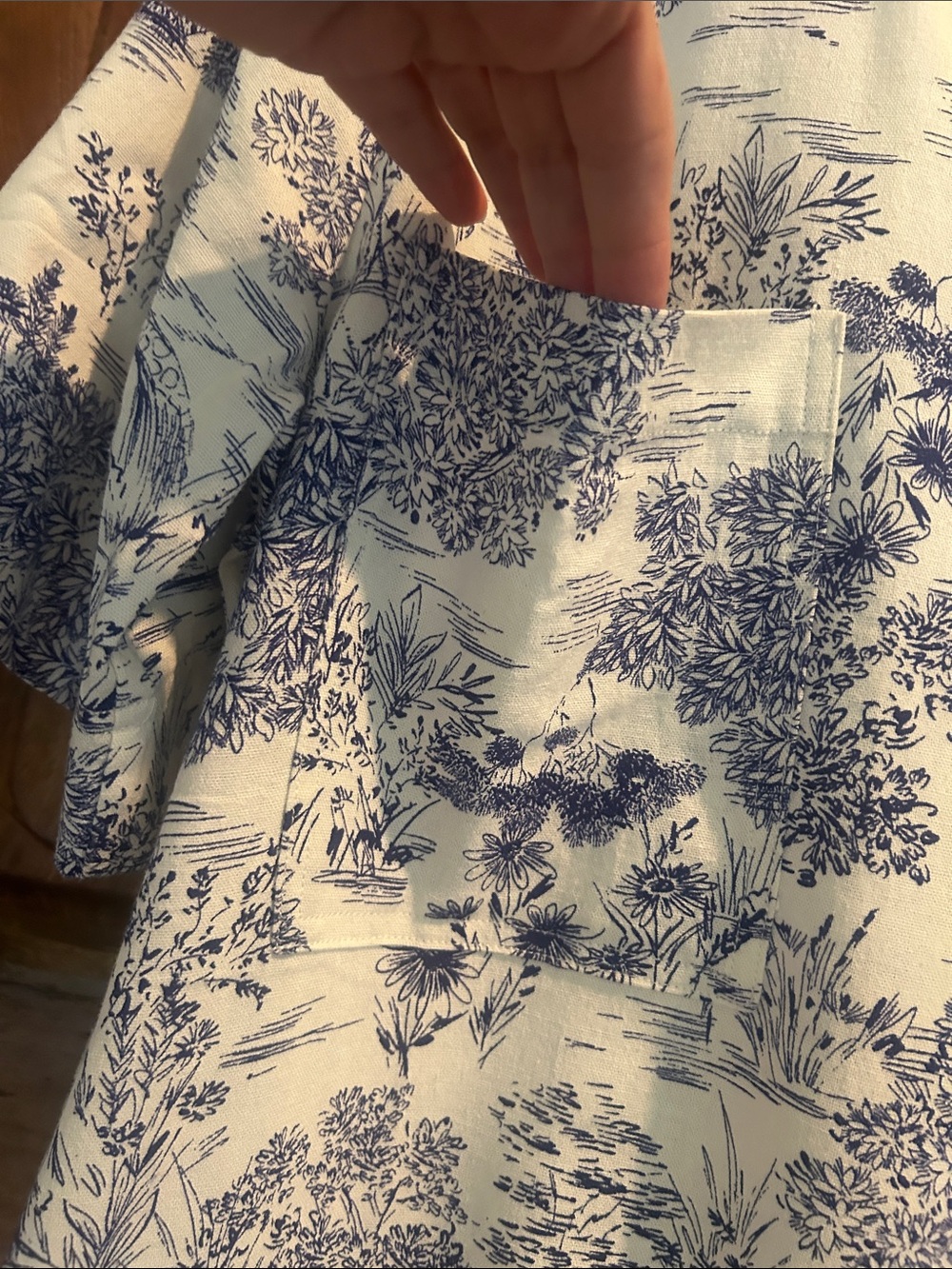 Olivaceous Blue and White Toile Dress - Picture 3 of 6